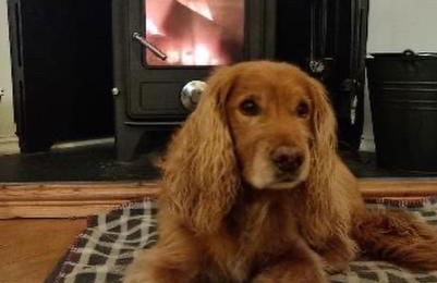 The Croft @ Warrens Farm - Foto 36