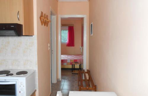 ASIMENIA STUDIOS - Photo 13