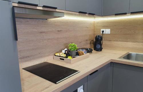 Luxury Apartments Deskati Α2 - Foto 19