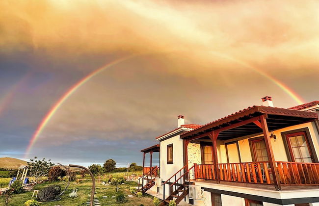 Tinos Otel & Bağ Evi (+12 Yaş) - Foto 51