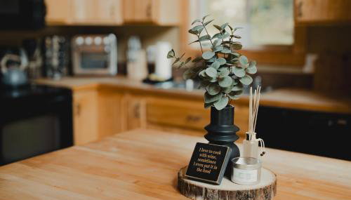 Cabin Minutes to Mt Rainier - EV, HotTub, 2 Queen and Twin - Foto 5