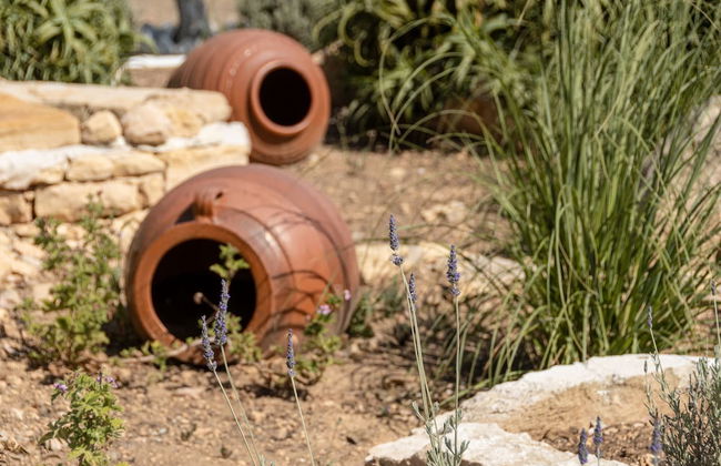 Michalios Luxury Apartments - Foto 57