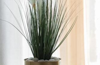 S&V Luxury Apartment - Photo 13