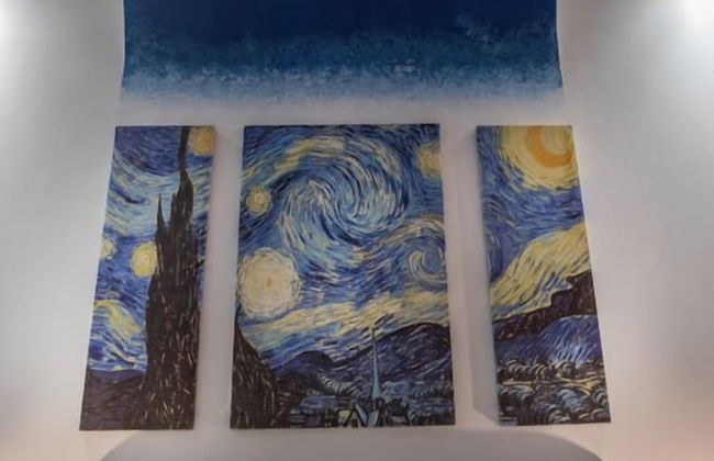 Molucano Themed Rooms - Photo 28