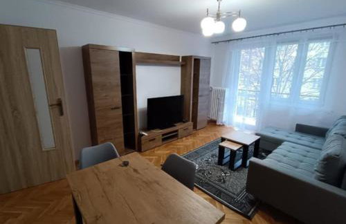 Apartament do wynajęcia - Foto 1