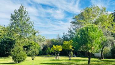 Quinta das Maçãs by SH - Foto 3