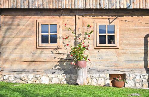 Double Paradise - Foto 66