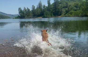 MeLou Fewo Harzruhe Wellness - Foto 34