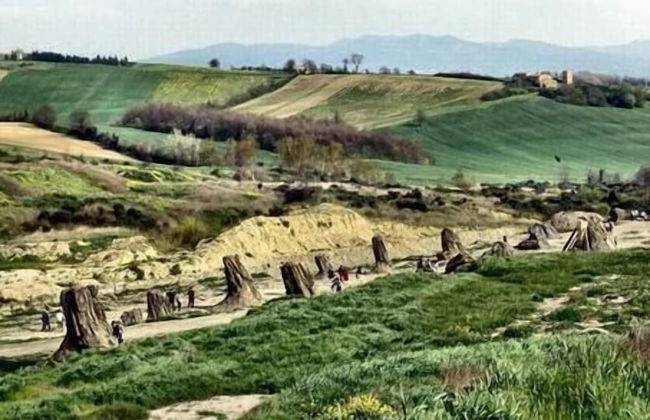 Podere Agrituristico Luchiano - Foto 67