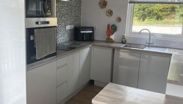 Cosy north Devon lodge within Hartland forest - Foto 3