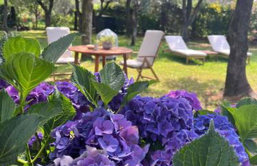 La casina Versilia - Foto 29