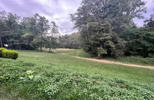Maison familiale avec terrasse à Vieille-Brioude - Foto 37