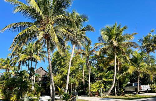 Island Paradise Awaits You - Foto 52