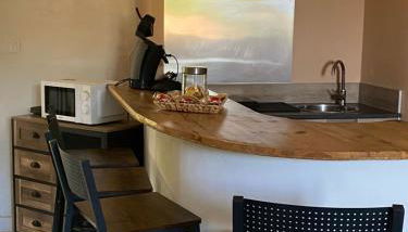 Location appartement 1 chambre plus dépendance en supplément voir descriptif dans un mas provençal au coeur du luberon - Foto 4