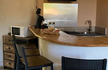 Location appartement 1 chambre plus dépendance en supplément voir descriptif dans un mas provençal au coeur du luberon - Photo 4