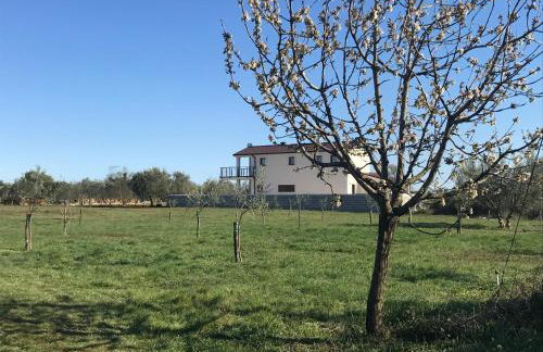 Villa Lydia - Foto 3