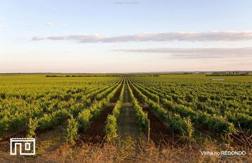 Casinha de Montoito - Foto 70