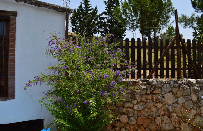 Cortijo Veracruz - Photo 69