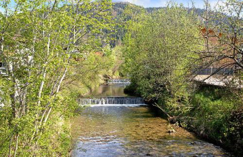 Wohnung Hochstaufen - Foto 18