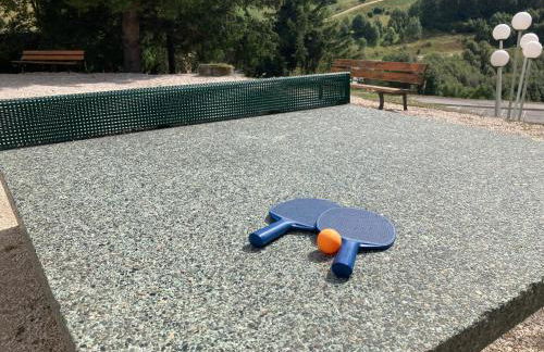 Au pied des pistes Côte 2000 - Le Balcon de Villard de Lans - Foto 53