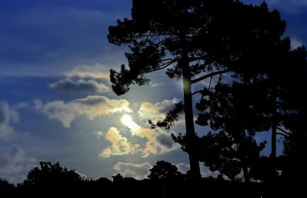 Entre Terre et Mer - Foto 40