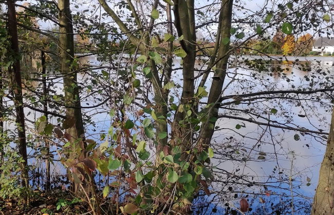 Ferienwohnung in Bissendorf - Foto 23