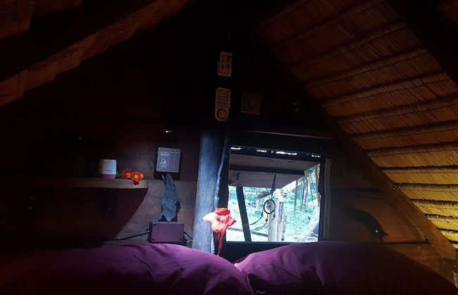 Cupido Beach SPA Resort - Foto 37