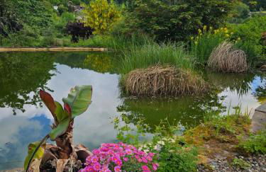 Lueginsland - Foto 7