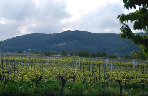 Gartenhaus am Weinberg - Foto 7