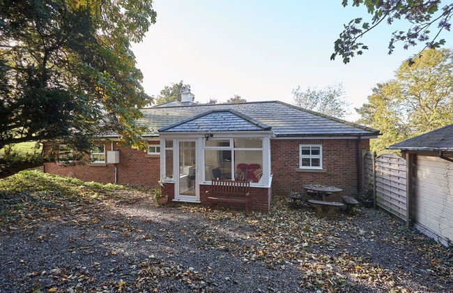 Host Stay The Woodlands - Foto 13