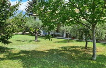 Green Paradise - Foto 16