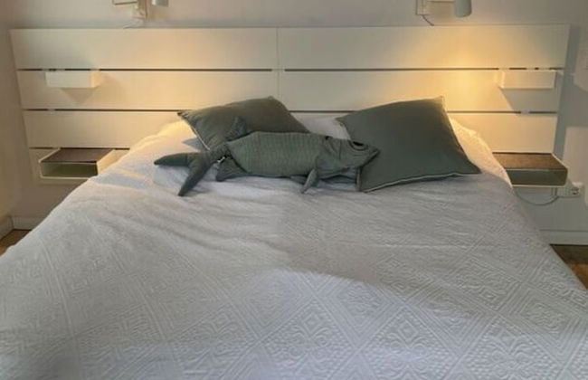 Forte Modern Retreat - Foto 5