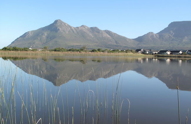 Stunning Cape Peninsula Holiday Villa With Pool - Photo 12