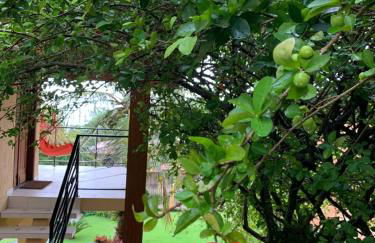 IlhabelaSul - Foto 64