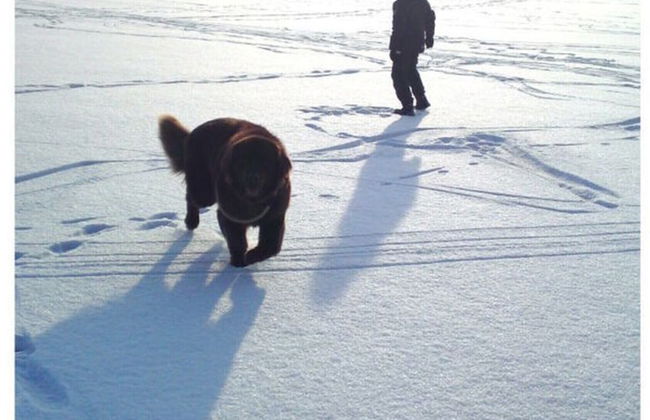 Langheinrich Comfortable Holiday Residence - Foto 14