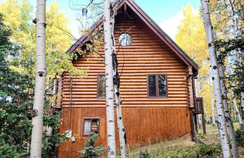 Pikes Peak Retreat - Photo 47