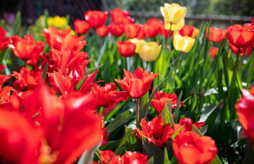 Villa Ladurner - Foto 30