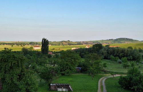 L'Horizon du Vignoble - Foto 25