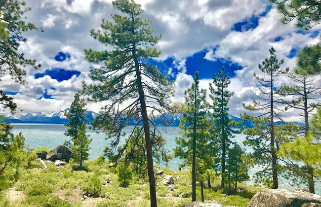 Month A Month Mv19 Willow - Foto 35