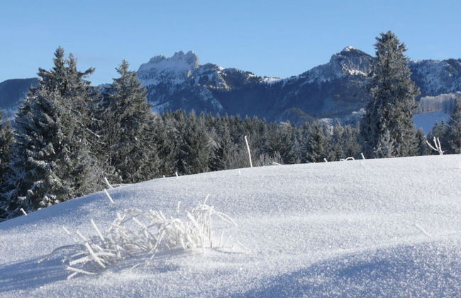 Nagelsmederij in het Huis Waldwinkel - Foto 13