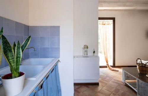 Mater Christi - Foto 43