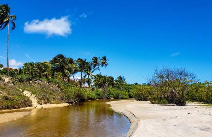 FLAT RIOMAR - Foto 26