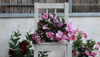 Casa di Nadia - Foto 5