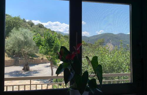 Olive Guest Farm - Foto 19