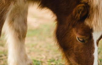 Cuna House - Foto 44