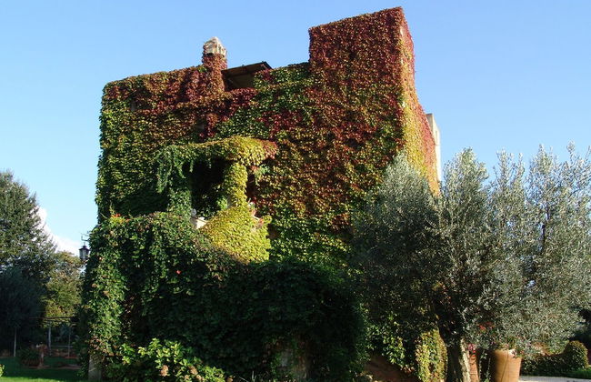 Agriturismo Fattoria Il Casalone - Foto 36