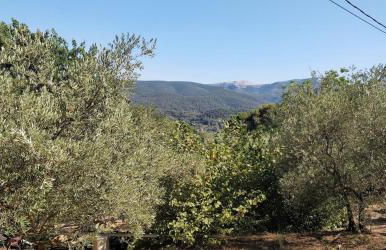 Villa CIGALONS en pleine pinède avec PISCINE - Foto 28