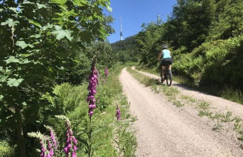 Azuria Black Forest Loft - Photo 26