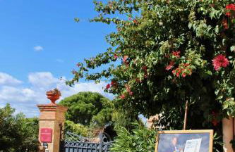 A l'ombre des Pins du Castellet - Foto 11