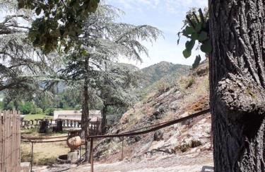 Gîte du vigneron à La Terrasse piscine local vélos - Photo 17